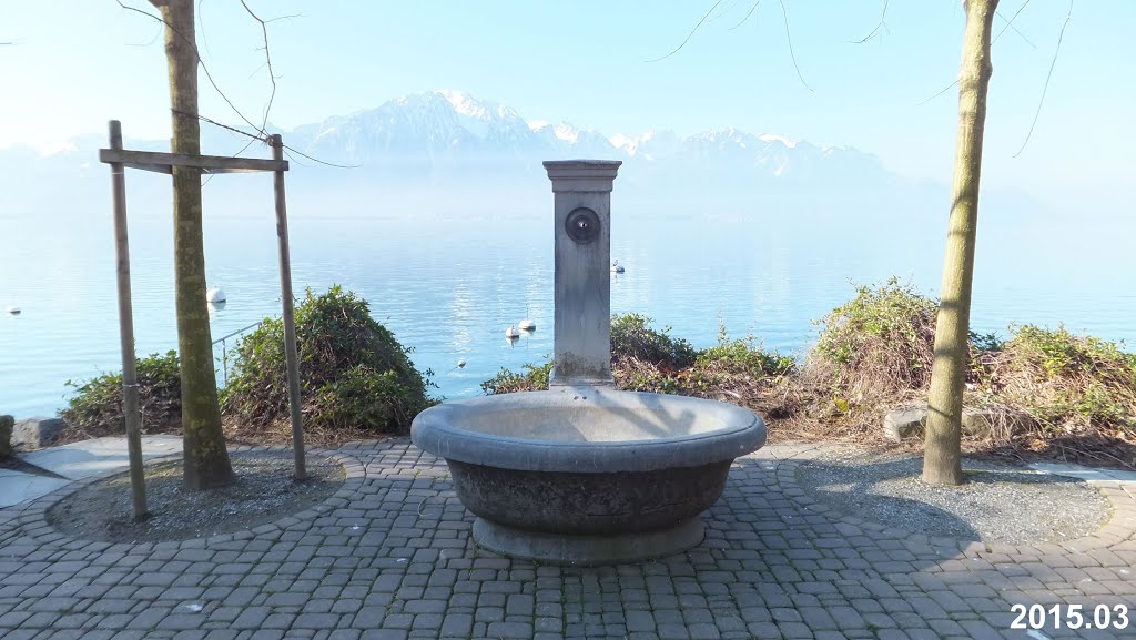 Fountain at Lake Geneva by Irmantas Kanapeckas