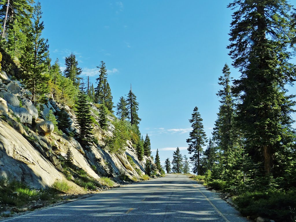 Yosemite National Park-Tioga Road by sunmaya