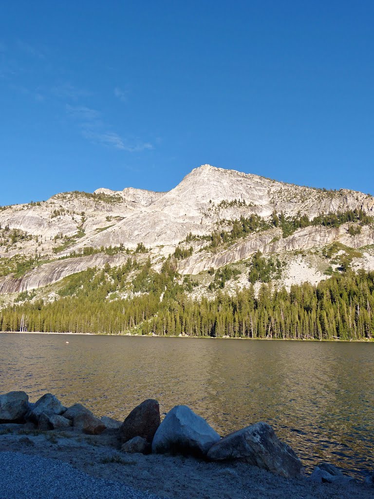 Yosemite National Park-Tenaya Lake by sunmaya