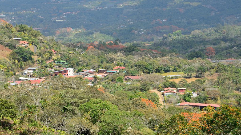 Carr. Vieja San Ramón - Palmares, Provincia de Alajuela, Palmares, Costa Rica by latforum