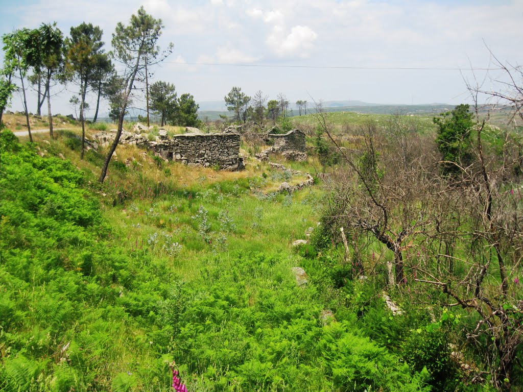 Ruinas, Pendilhe, Portugal by A Almeida