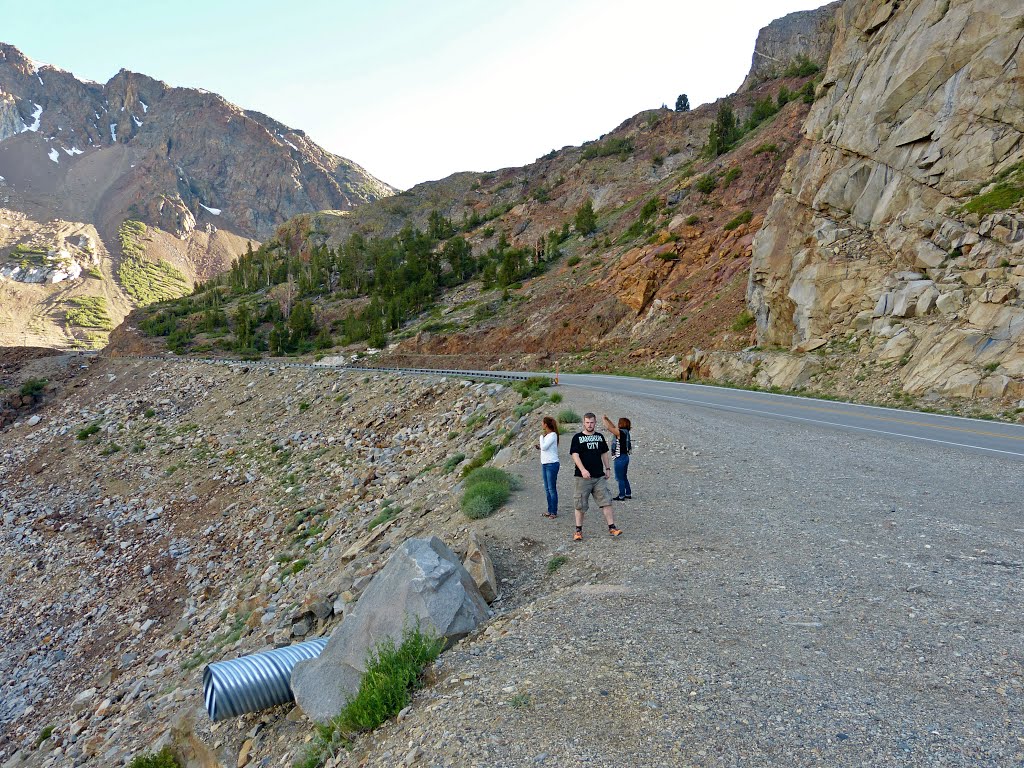 Yosemite National Park-Tioga Rd by sunmaya