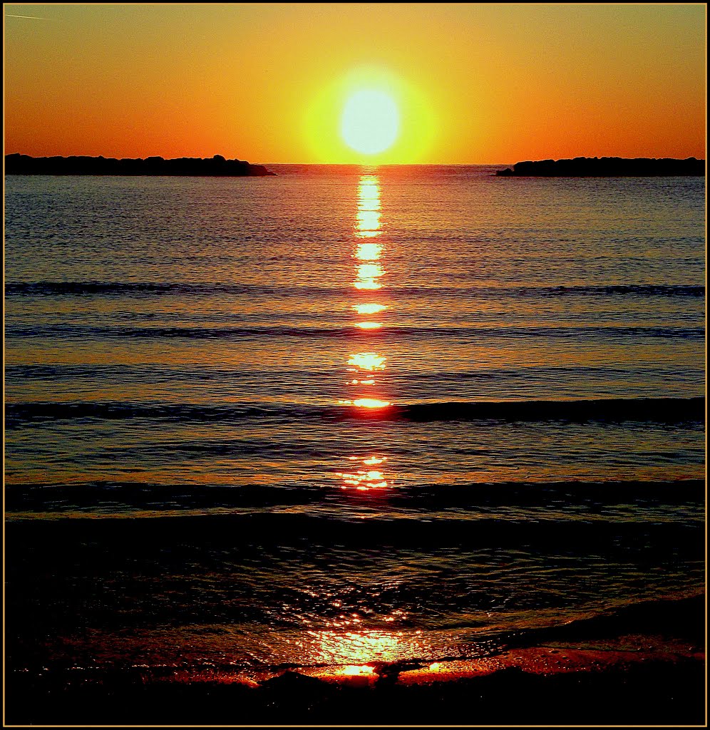 SUNRISE...In VERTICAL...An ancient proverb says: those bird catches the worm !!! Beautiful sunrise at low tide, dedicated to my friends Panoramio and Facebook. by gianluigi bonomini