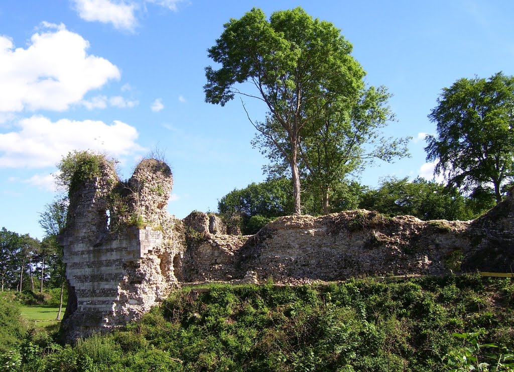 Burgruine by stanzebla