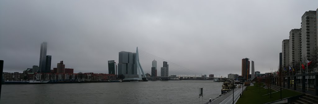 Rotterdam by kkaammiillK