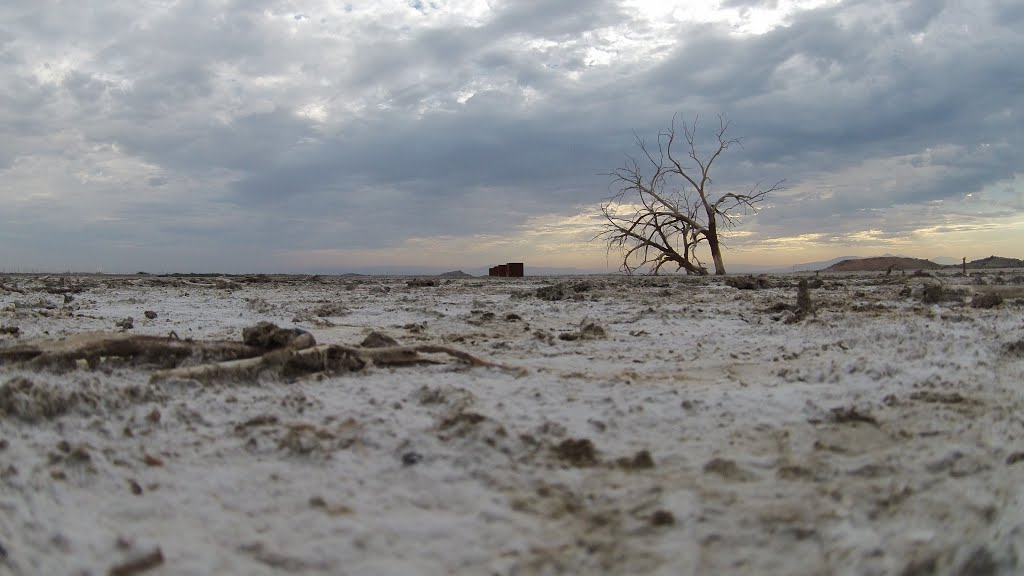 El Centro, CA, USA by Eric Hanscom