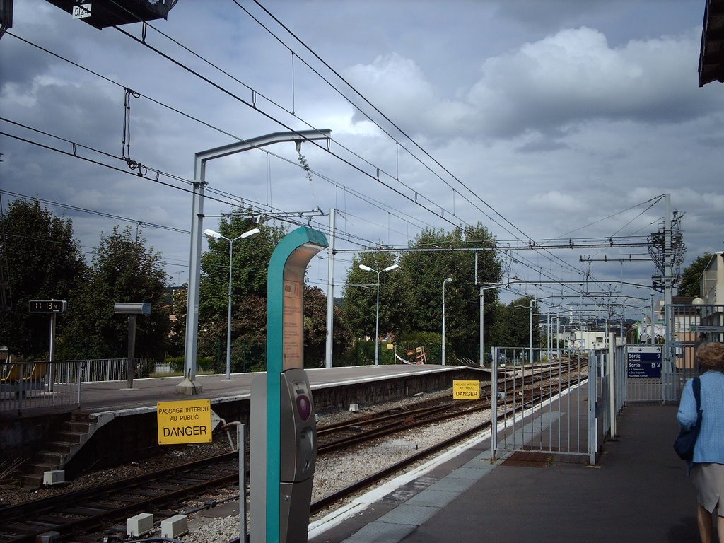 Quai de la gare d'Orsay by Noé Diakubama