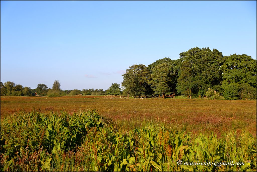 Landschap bij Oosterse diep bij Ter Wupping by © Dennis Wubs