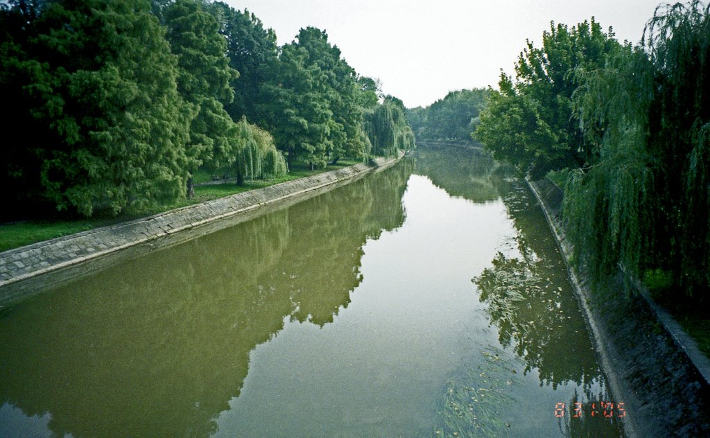 Bega River from Michelangelo Bridge 4 - Timisoara by Viorel.Lupsa