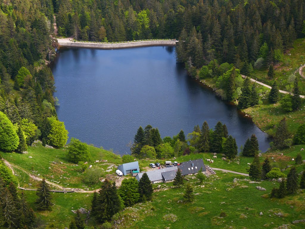 Lac des Truites by Randy Tchen