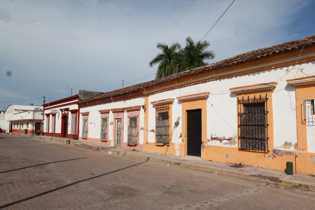 Anonal, El Rosario, Sin., Mexico by Dante González