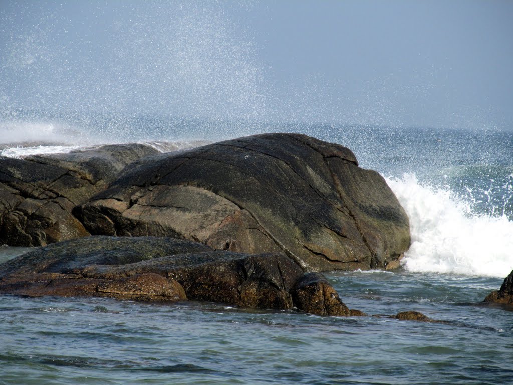 Fortunes Rocks by Teresa Chrzanowski F…