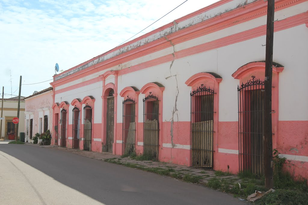 Centro, El Rosario, Sin., Mexico by Dante González