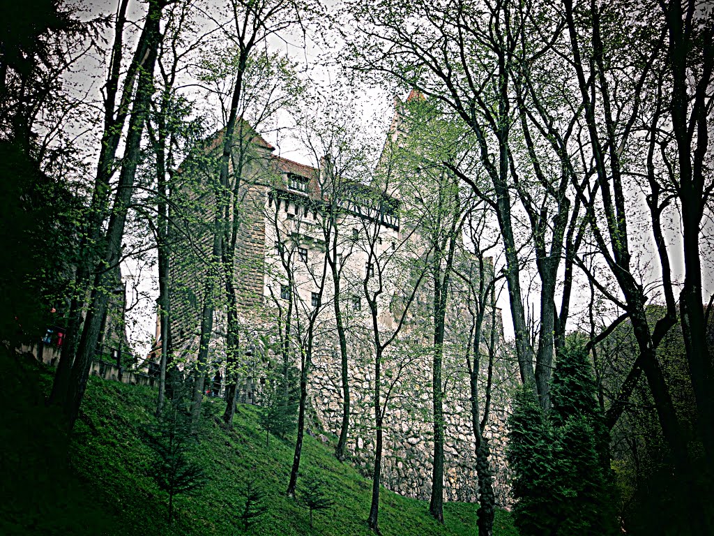 Bran Castle - Dracula's Castle, Transylvania. by Mister No