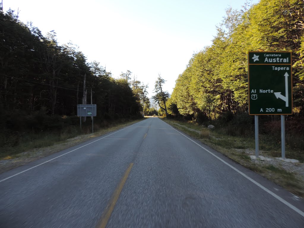 Carretera Austral - Aysén/CHI - LS© by Lucas Scherer