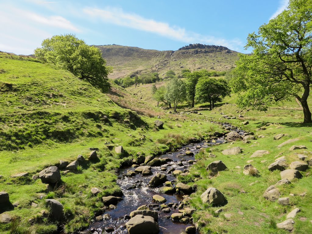 Just off from Dove Stone reservoir by Kenny Wharton