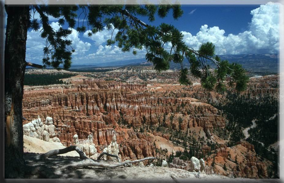 Bryce Canyon by photographer10