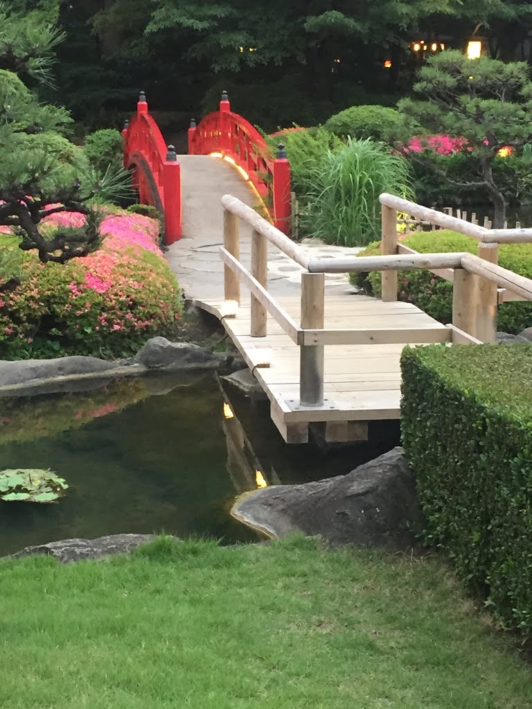 Zen garden in Tokyo by gilbert ROGER