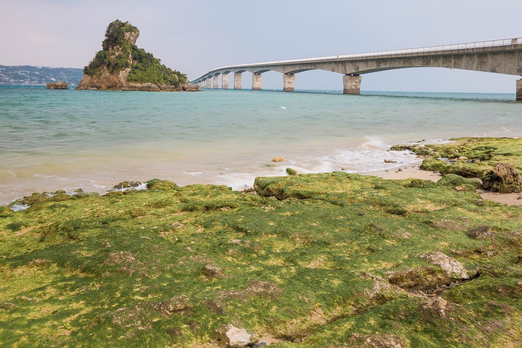 Sumuide, Nago, Okinawa Prefecture 905-1635, Japan by LockHart