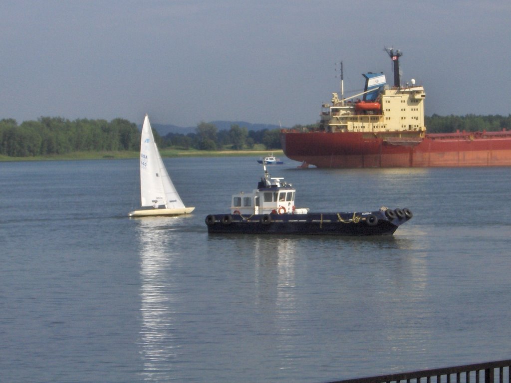 Which one will reach the port in first place? Montréal by Richard Mc Neil