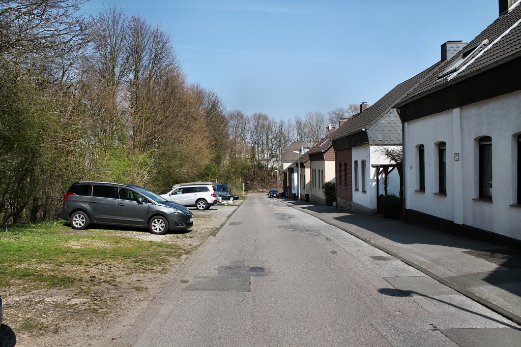 Blumendeller Str. (Mülheim-Heißen) / 9.04.2015 by Daniil Bartholomae