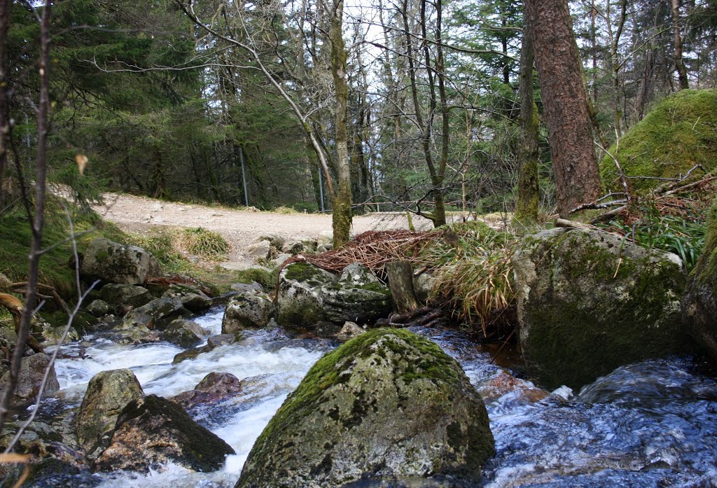 The tiny river in Skredderdalen, 1st of may 2010 by Mona Lygre