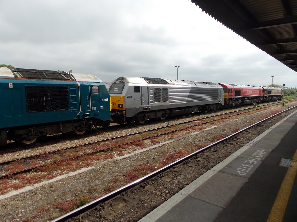 A varied group of 67's by The Loyal Passenger