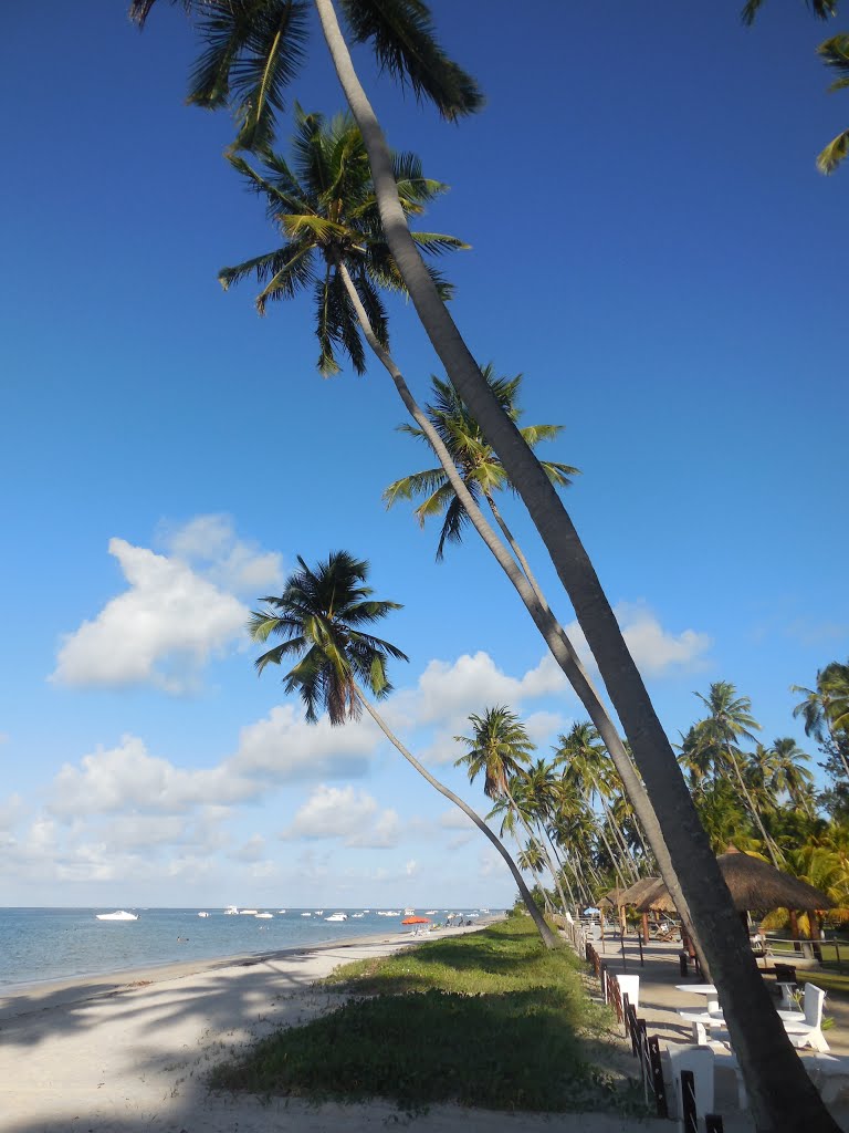 Praia dos Carneiros by Patricio Carneiro