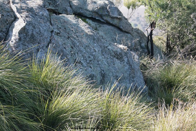 Landscape Detail Rossgole by rojpix