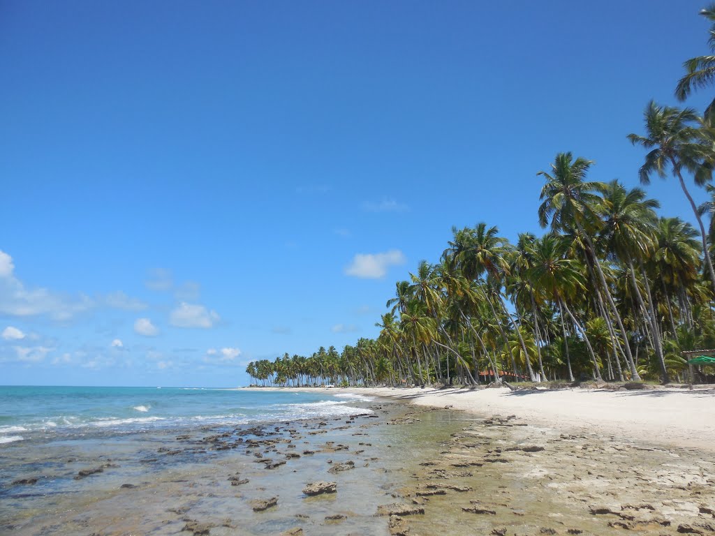 Praia dos Carneiros by Patricio Carneiro