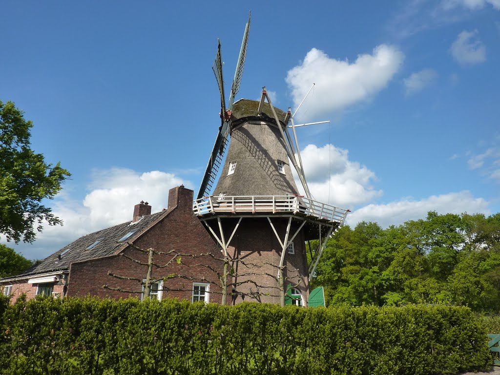 Windmühle 9331 CB Norg, Niederlande by Klaus Heyna