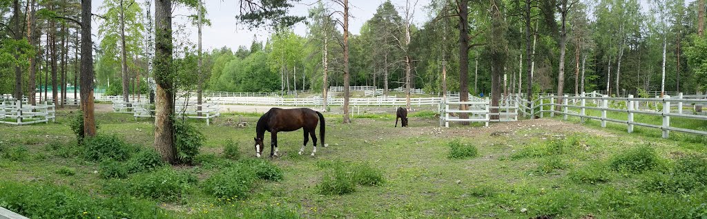 Keskustallin ratsastuskoulu. by Raimo Mäkelä