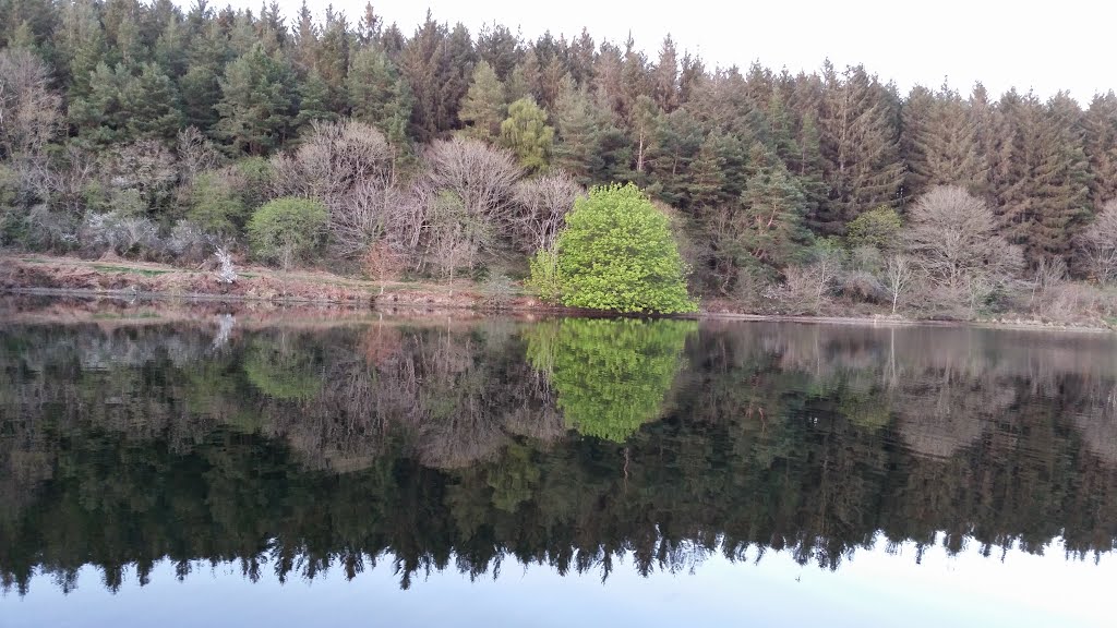 Tottiford reservoir by Ashley Edwards