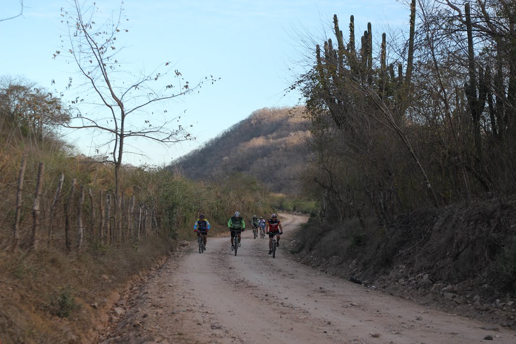 San Ignacio, Sin., Mexico by Dante González