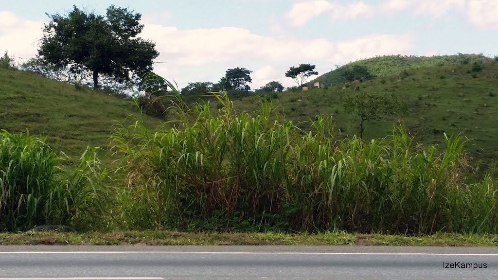 Ribeirão das Neves - State of Minas Gerais, Brazil by IzeKampus