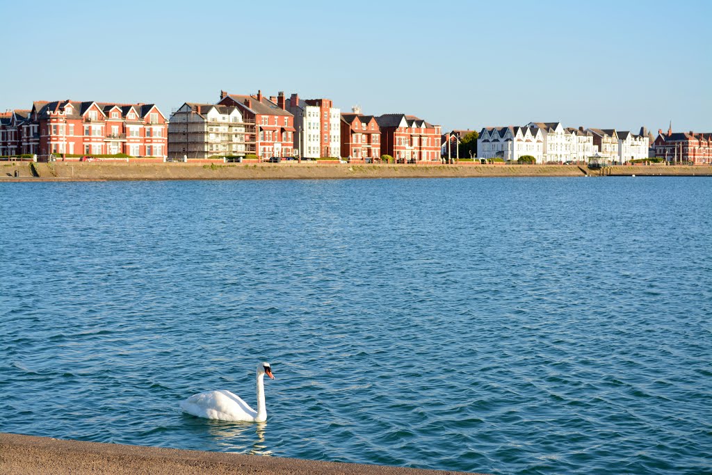 Marine Lake, Southport by Nick Gent