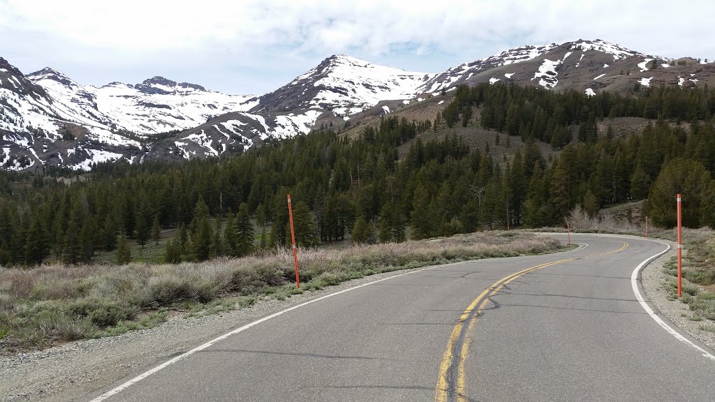 Hwy 108 looking towards Sardine Falls by A.T. Burke