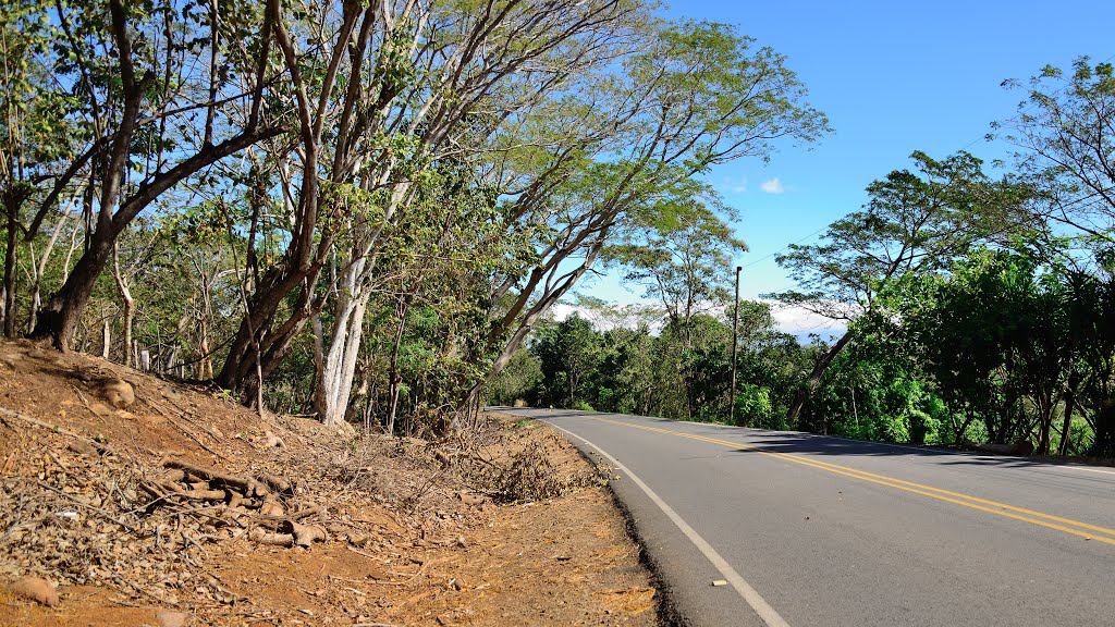 Puntarenas Province, Costa Rica by latforum