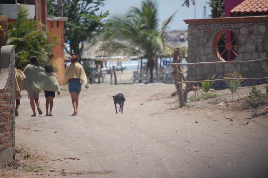 Perro negro - Mazatlan, Mexico by crazy4uk