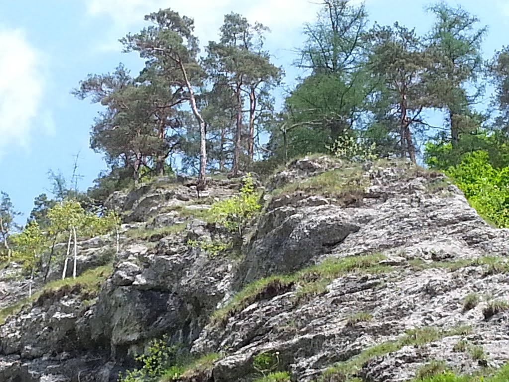 053 15 Hrabušice, Slovakia by Mateusz Januszek