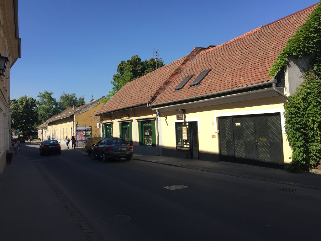 Szentendre, Hungary by kacper sawicz