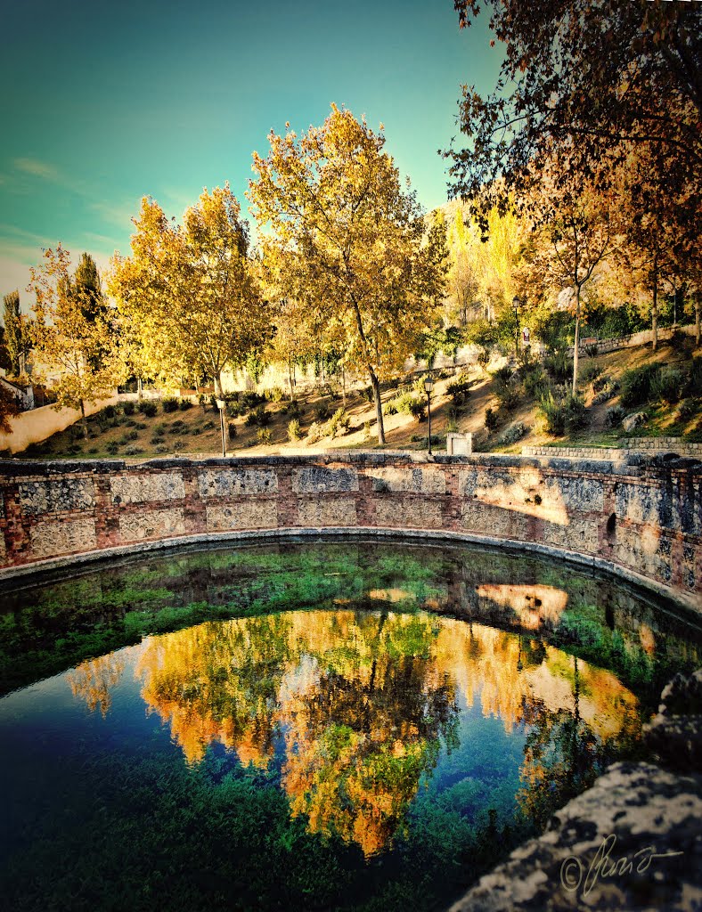 Reflejos de otoño by Rocío Fernández Izqu…