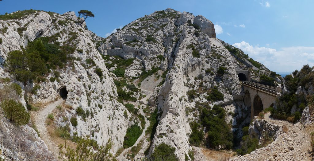 La cote bleu by Guy Godemont