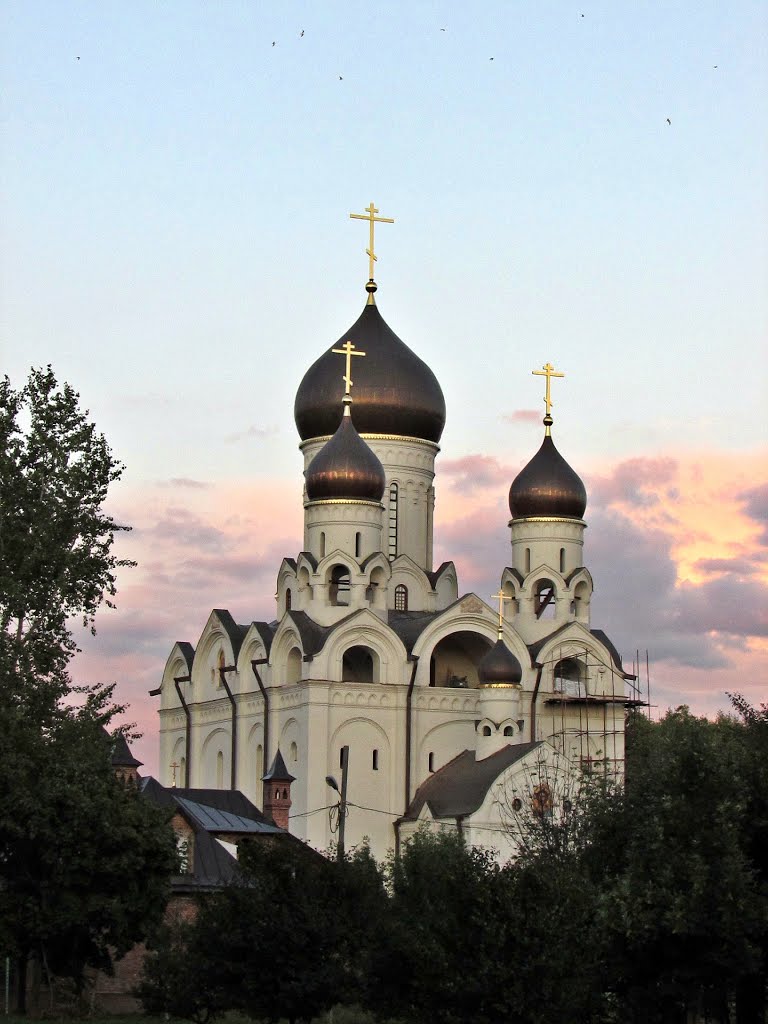 Severnoye Medvedkovo District, Moscow, Russia by Acnel