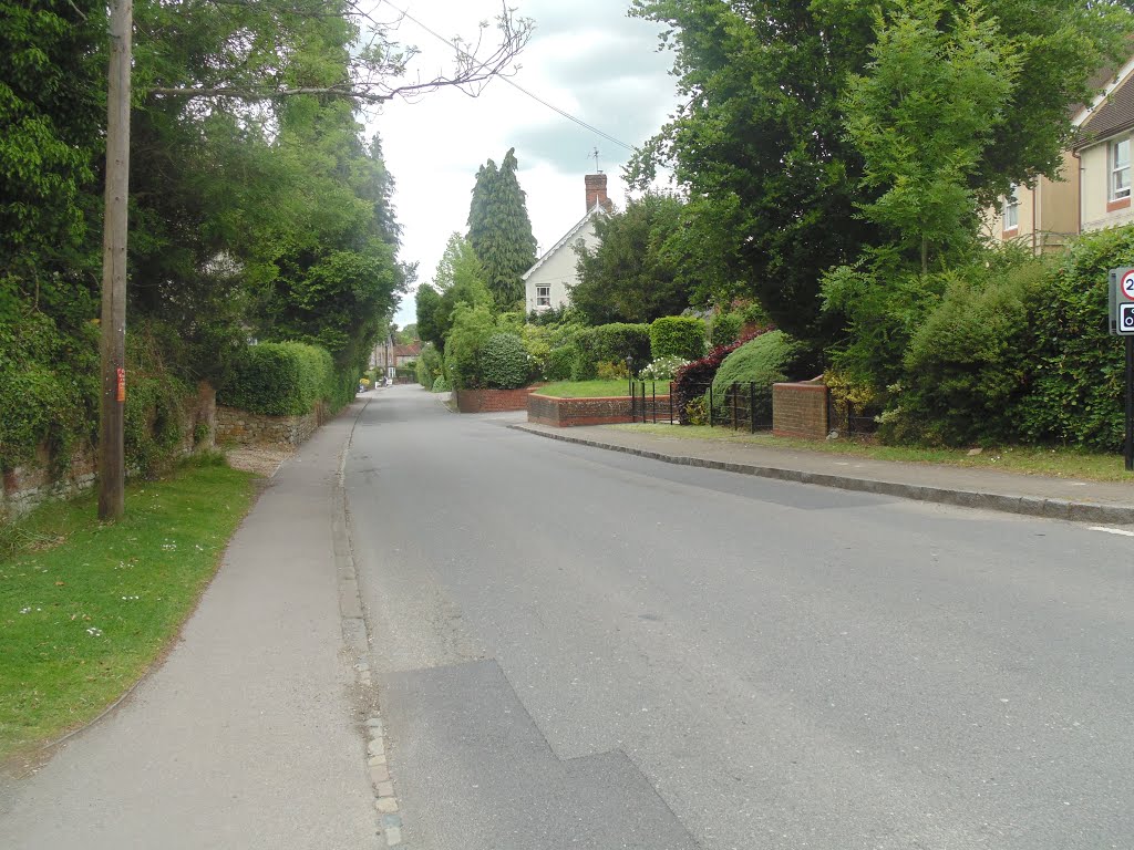 Selborne by Robert'sGoogleEarthP…