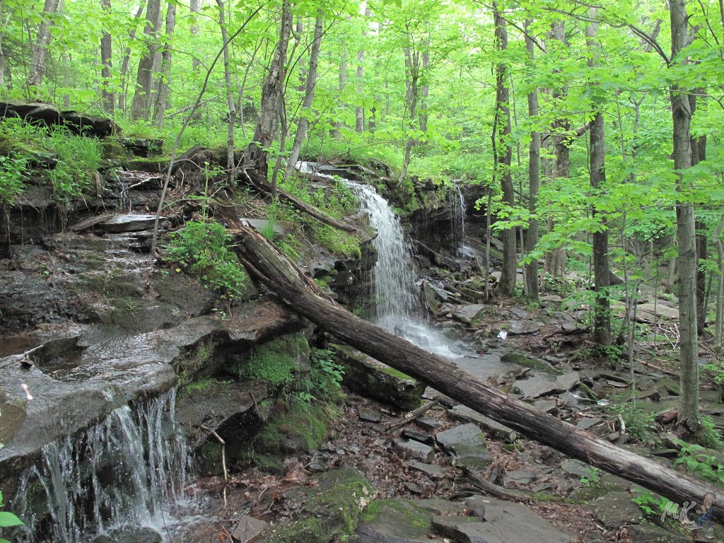 Mary's Glen Trail - North-South Lake Area - Greene County, NY, USA. by mariok40