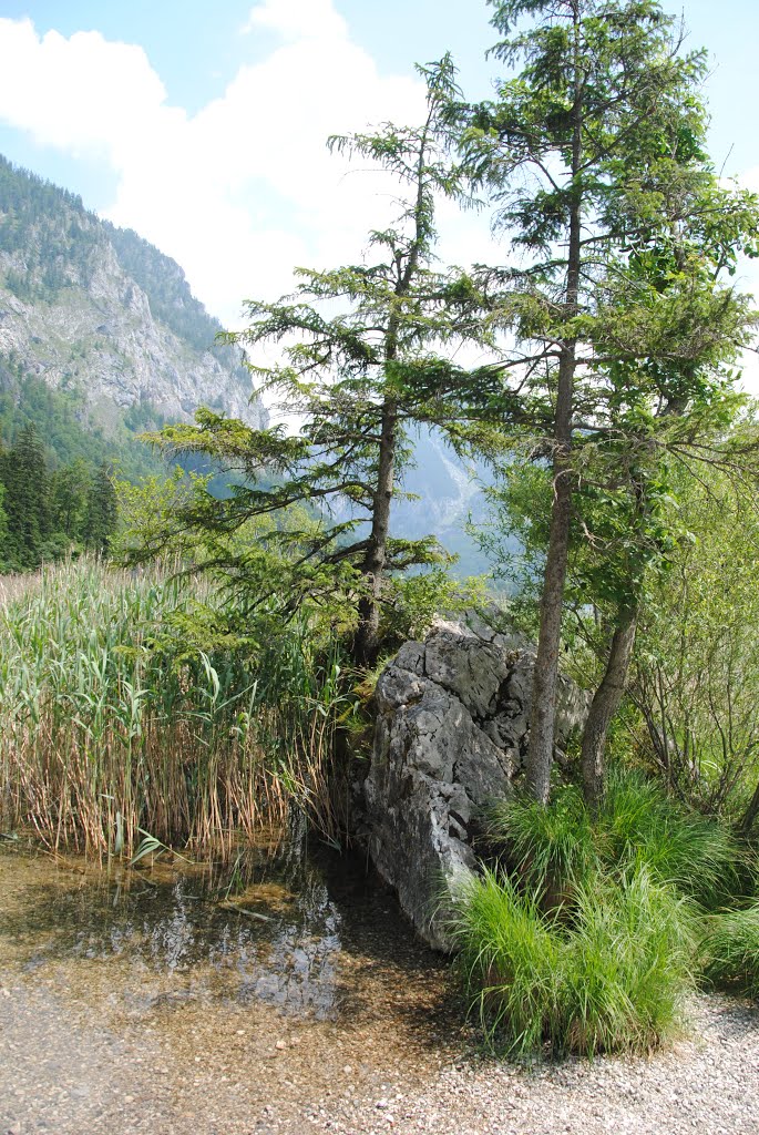 Leopoldsteinersee by renatenate