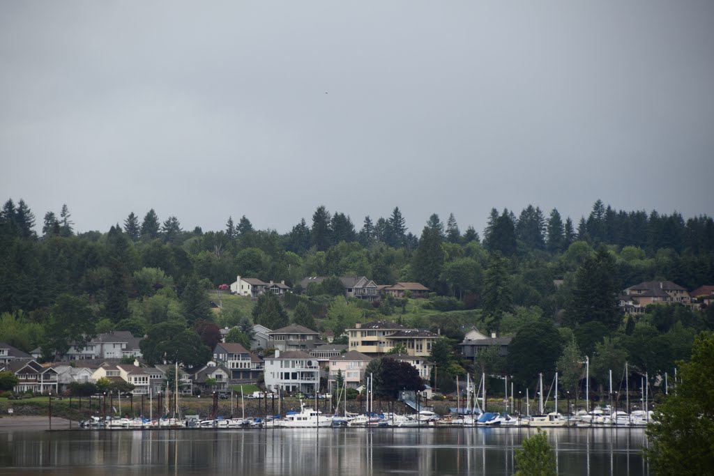 Steamboat Landing Marina by Buddy Rogers