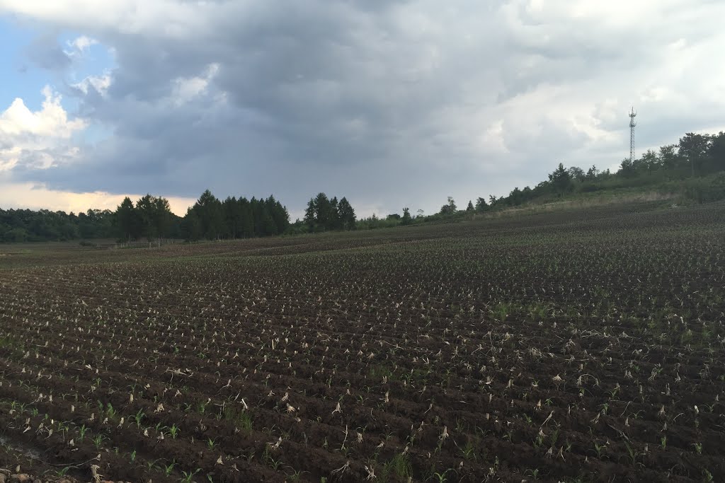 20150609-骑行头道川半拉川-- 半拉川屯子在头道川的北面，40年前的记忆都在 。 -- by park by p. pc高手