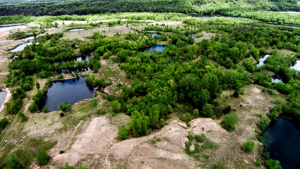 Ponds by Aaron Carlson